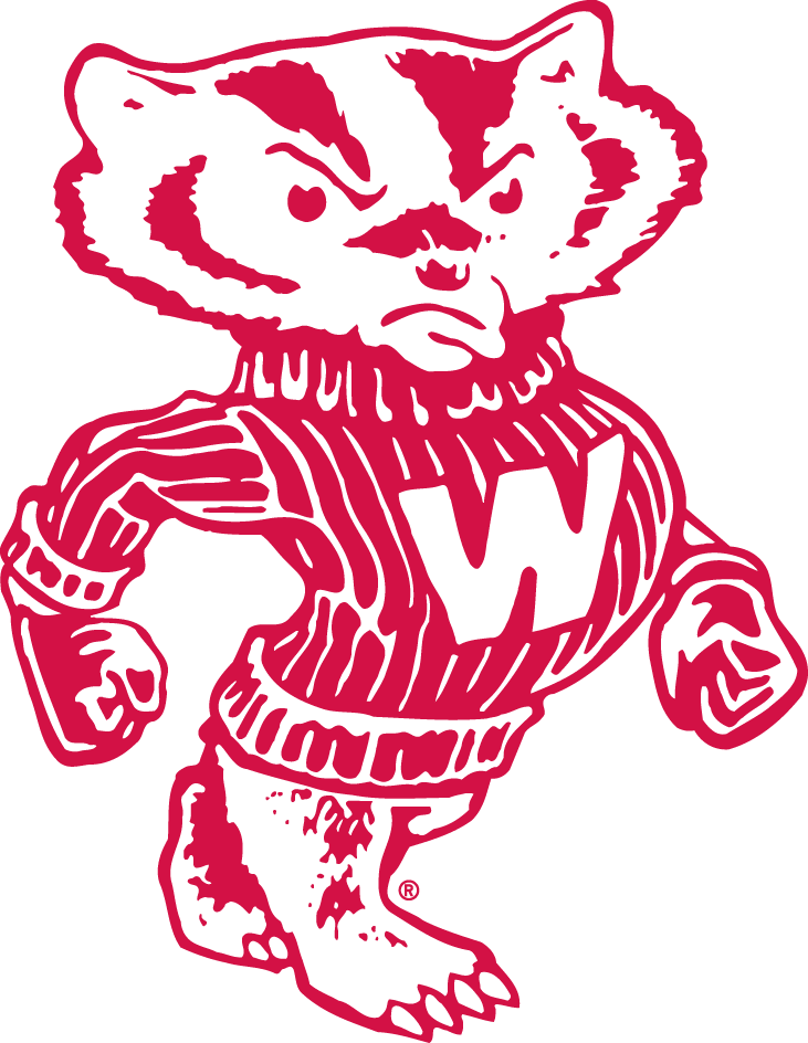 Wisconsin Badgers 1948-1969 Secondary Logo DIY iron on transfer (heat transfer)
